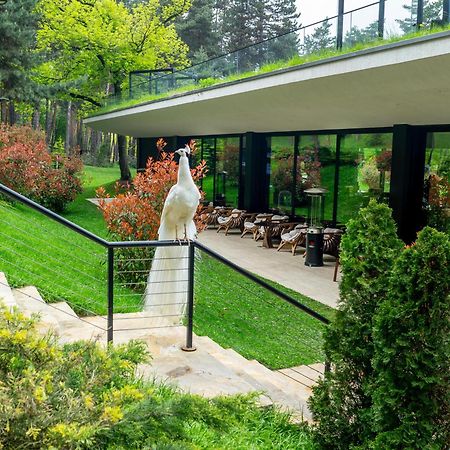 Bioli Wellness Resort Kojori 外观 照片
