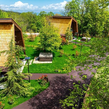 Bioli Wellness Resort Kojori 外观 照片
